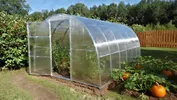 Теплица Премиум 8 метров