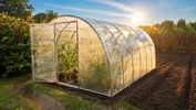 Теплица Премиум 6 метров