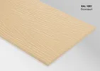 Фиброцементный сайдинг Бежевый (RAL 1001)